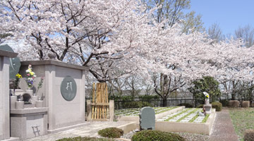 龍泉寺 樹木庭園墓