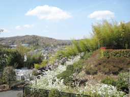 秋川丘陵の自然に包まれた霊園