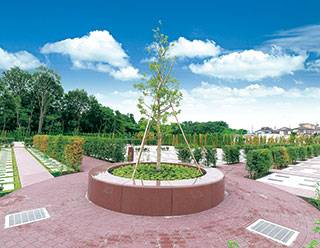 綾瀬蓼川霊園 天空の郷