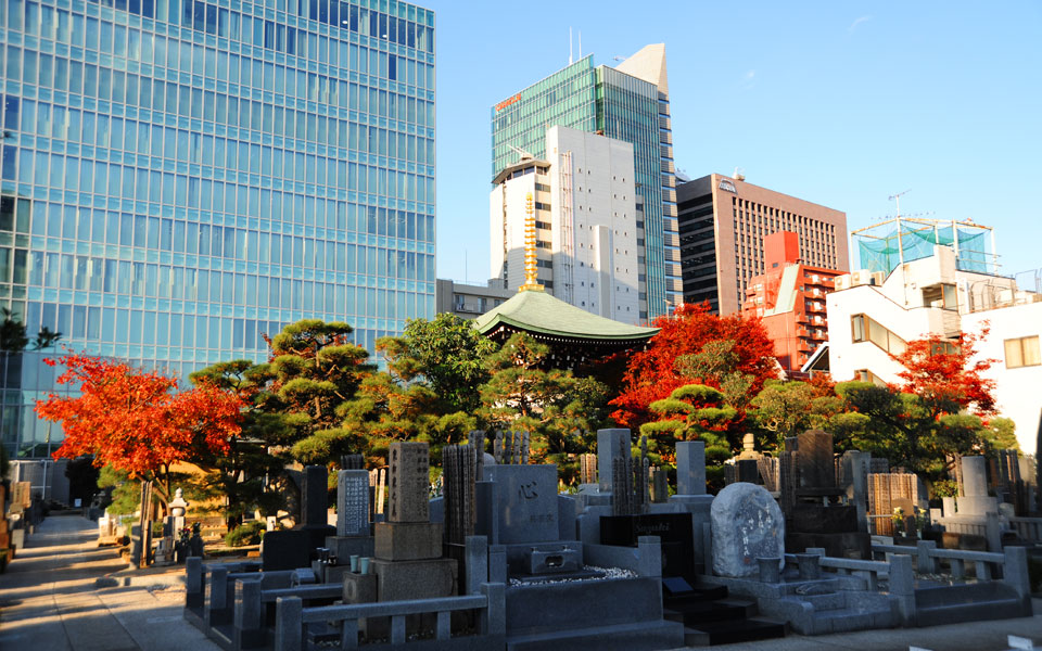 墓域風景