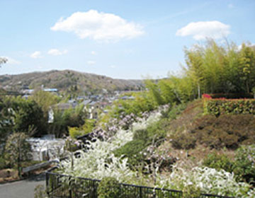 自然に包まれた霊園風景