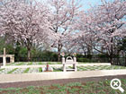 龍泉寺 樹木葬の写真