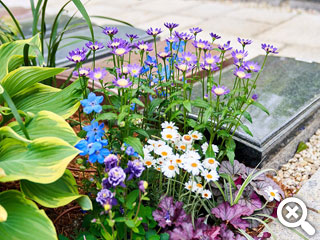 墓碑のそばに花が植えられた写真